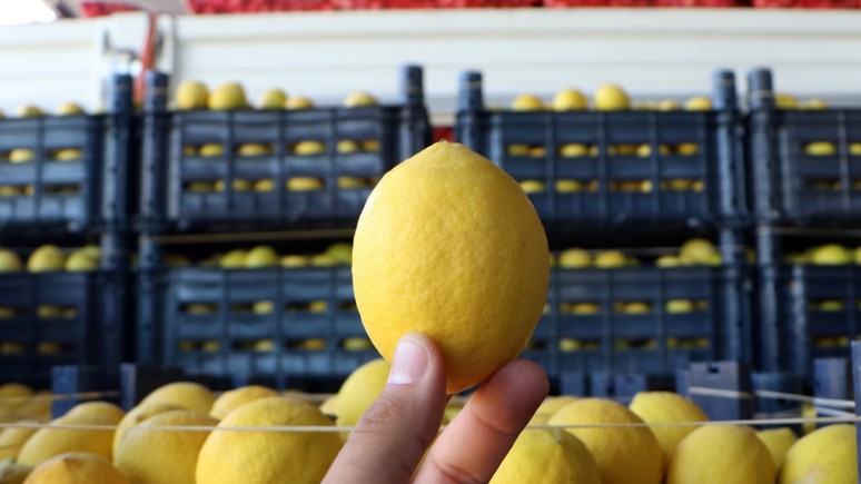 Tarım Kredi Market yeni indirimleri duyurdu! 2 günlük dev kampanya