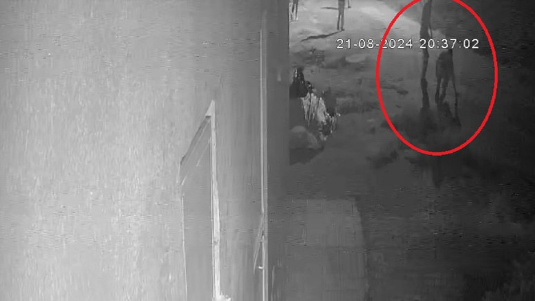 Narin cinayetinde yeni görüntüler ortaya çıktı: Her şeyin başladığı anın görüntüleri...