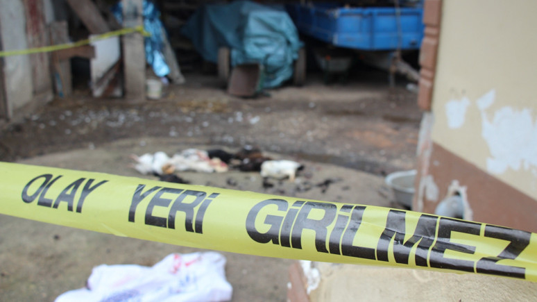 İki tane horoz için tüfekle dehşet saçtı! 7 tavuğu vurdu, dayısının evini kurşunladı...