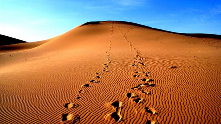 At sırtında hacca yolculuk: Endülüs Müslümanlarının 500 yıl önceki hac yolculuğu