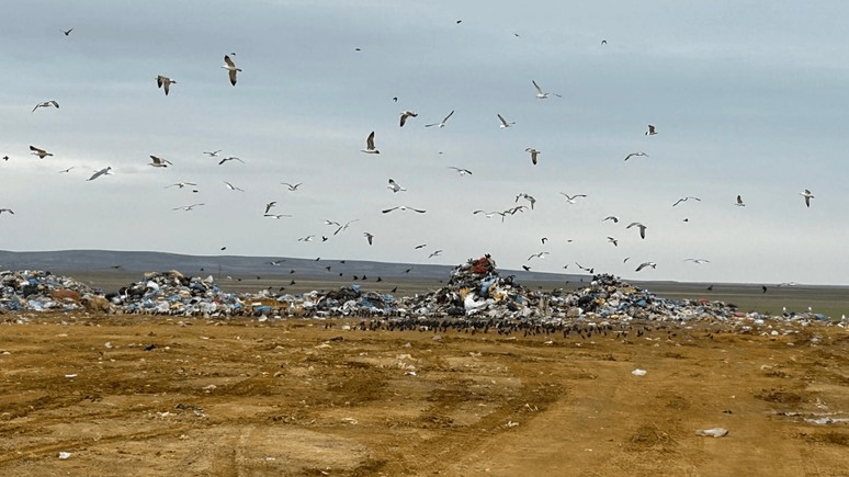Ankara Büyükşehir’e 5 milyon 130 bin TL çevre cezası! Katı atıklar lisanssız alanda depolanmış!