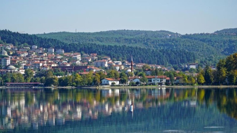 Karadeniz'de tarihte bir ilk! Sakarya'da bolluk yaşanıyor