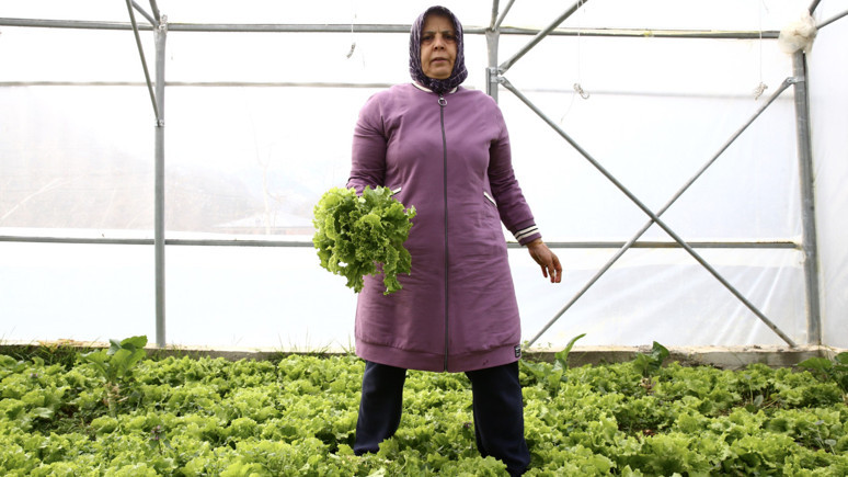 İstanbul'dan gelip Giresun'da kurdu! Devlet desteğiyle bugünlere geldi