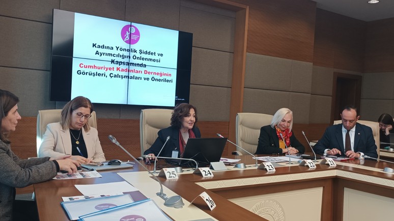 Meclis komisyonunda İstanbul Sözleşmesi tartışması! CKD Başkanı: İstanbul Sözleşmesi LGBT'nin Truva atıdır