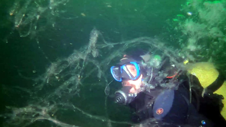 Marmara Denizi'ni istila etmiş durumda