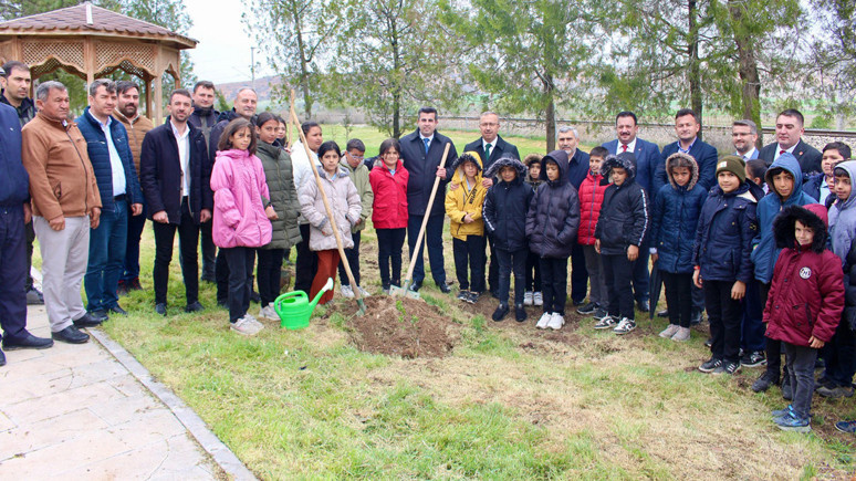 Yunus Emre için 70 alıç fidanı dikildi