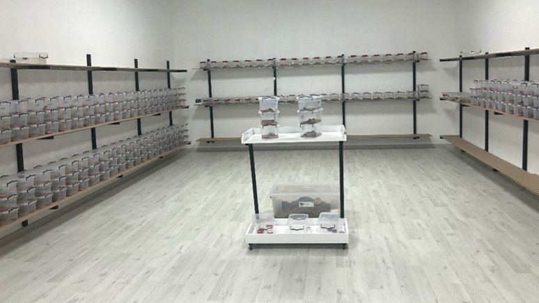 Türkiye'de daha önce hiç yapılmadı! Aydın'da ayda sadece 0,5 gram üretiliyor