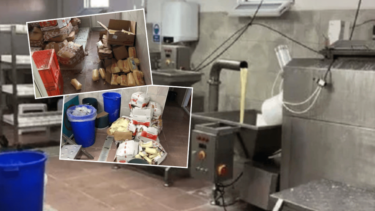 Eritip piyasaya sürüyorlardı: 5 ton kaşar peyniri ele geçirildi!