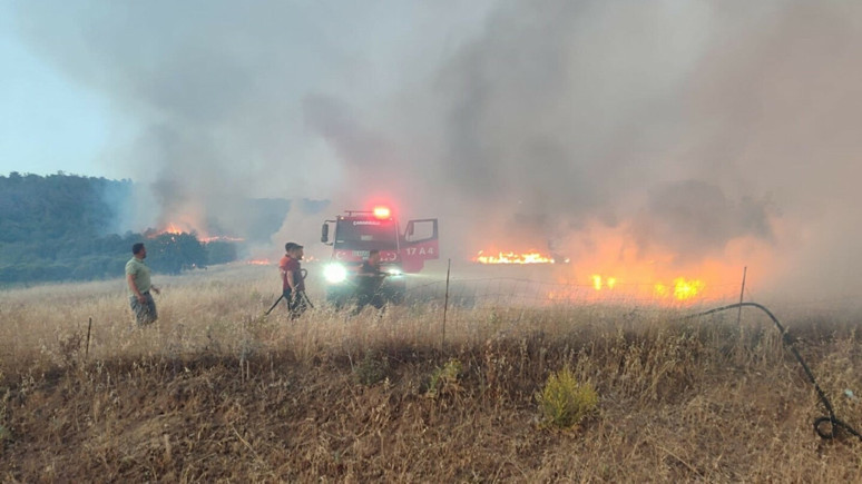Çanakkale'de tarım arazisinde yangın