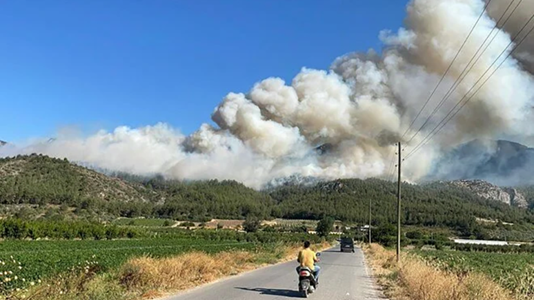 Sakarya’da orman yangını: Ekipler harekete geçti