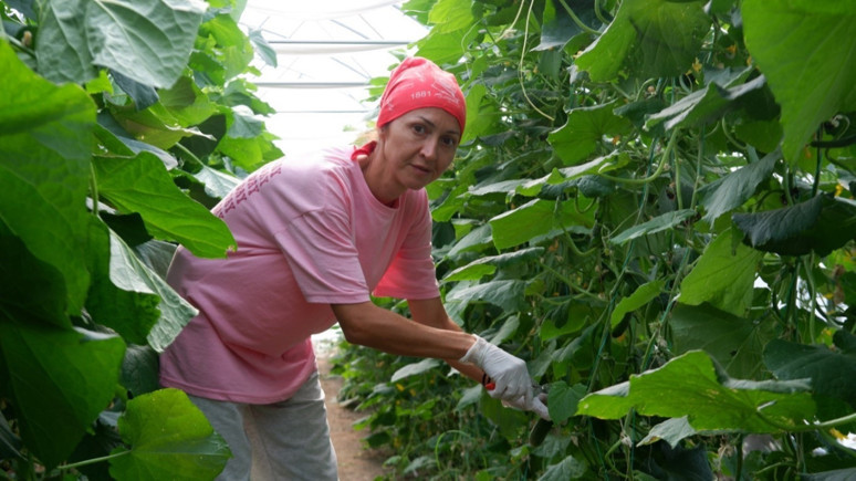 Edirne’de devlet desteği ile kuruldu