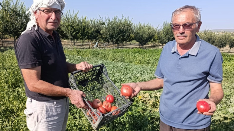 Manisa’nın Gördes ilçesinde üretiliyor!
