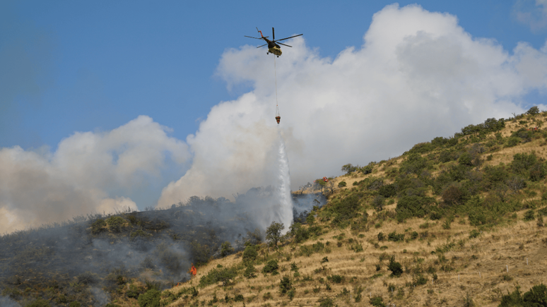 Tekirdağ'daki yangın söndürüldü!