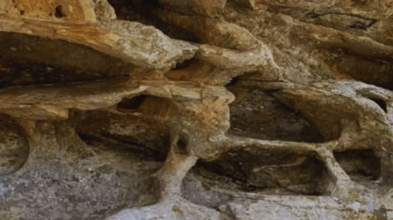 Aydın'da dikkat çeken keşif: 8 bin yıllık...