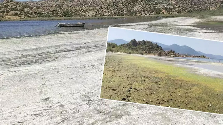 Muğla'nın cennet köşesi Bafa Gölü alarm veriyor!