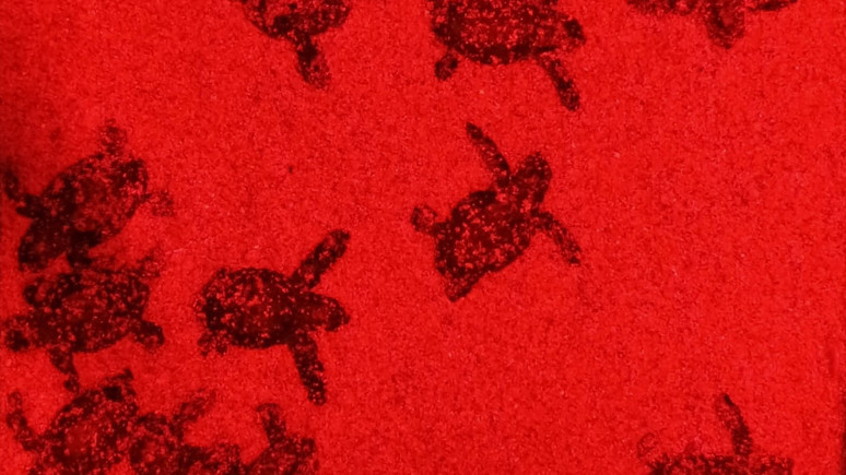 Kuşadası'nda 48 yavru kaplumbağa denizle buluştu