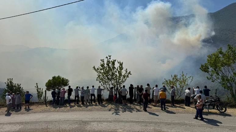 Bartın'da ormanlık alanda çıkan yangın çıktı
