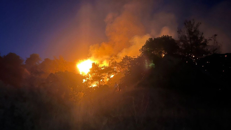 Aydın'ın Efeler ilçesinde zeytinlik yangını