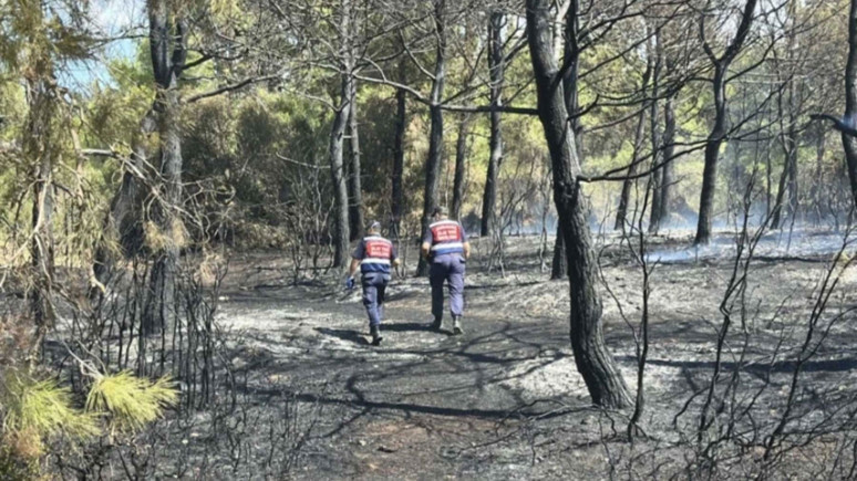 Çanakkale’deki orman yangını kontrol altında