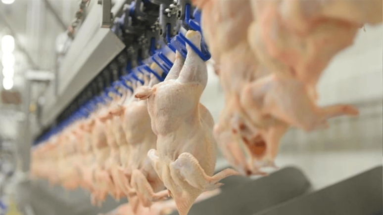 Beyaz et sektörüne ceza yağdı: O firmadan açıklama yapıldı