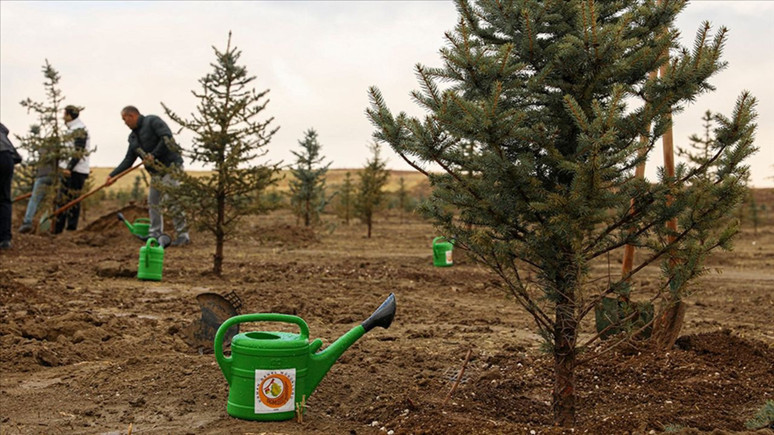 Yeşil Vatan Seferberliği