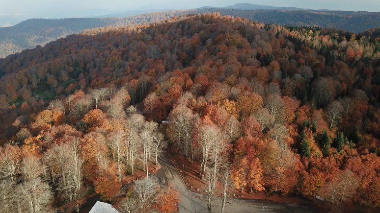 Kuzuyayla Tabiat Parkı'nda sonbahar güzelliği! Kocaeli’nin gözdesi