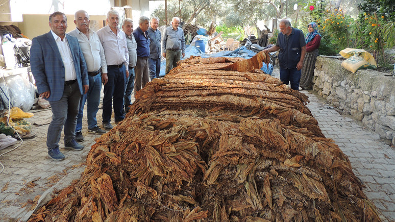 Kooperatifleştiler kazançlı çıktılar!