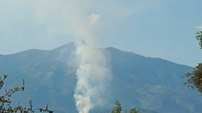 Muğla Seydikemer'de orman yangını çıktı