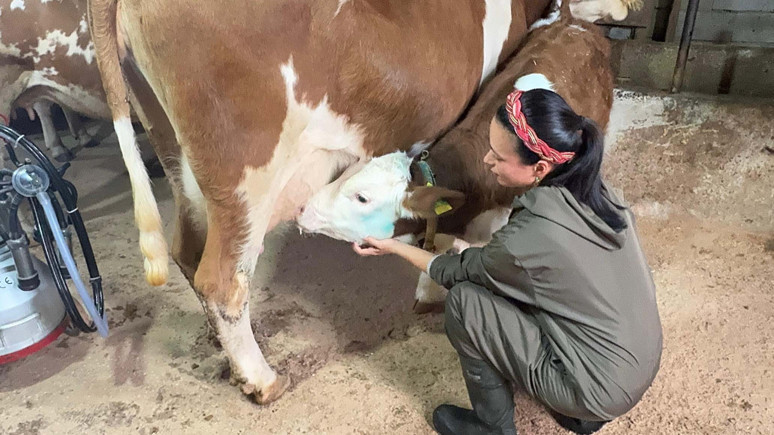 Veteriner yok aşıyı köylü yapıyor!