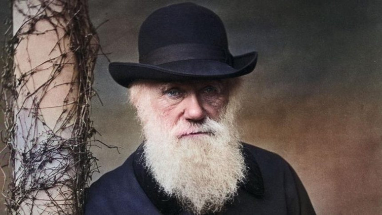 Darwin’in Gemi Günlüğü’nden Bir Kesit: Lapa Lapa Kelebek Yağıyordu - Resim : 2