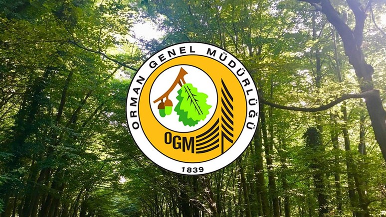 Orman Genel Müdürlüğü personel alımı yapacak! İşte başvuru tarihi...