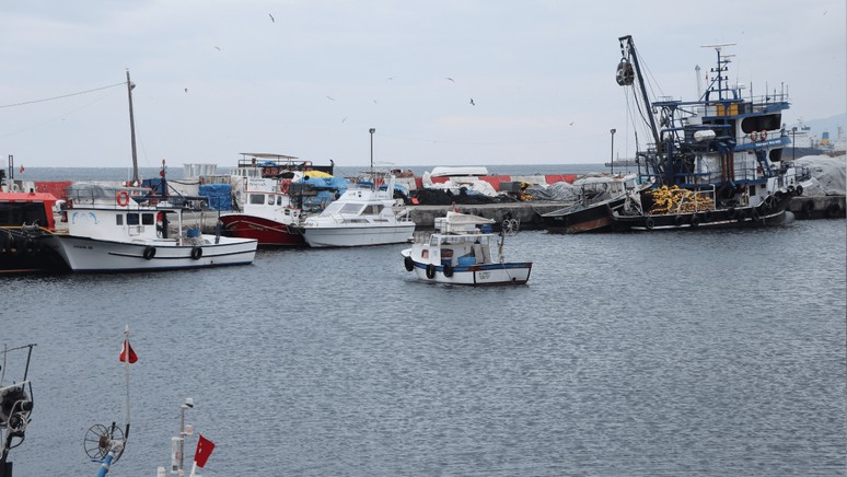 Tekirdağ'da deniz ulaşımını 6 gündür aksıyor - Resim : 1
