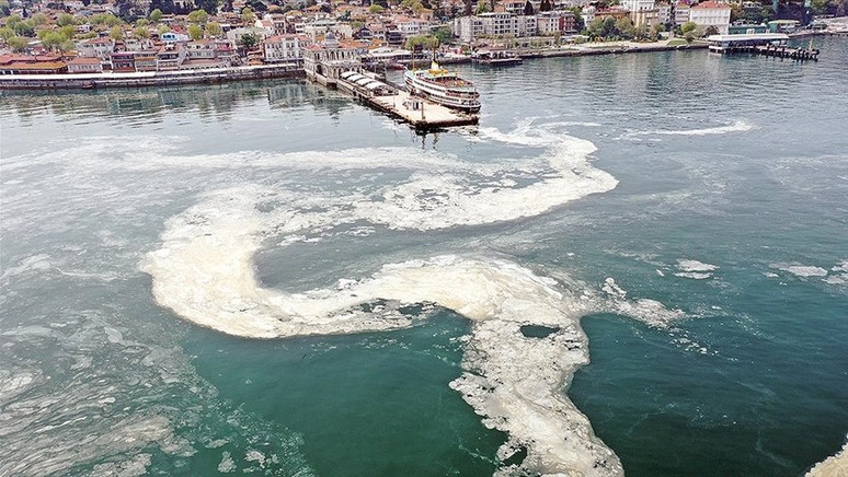 Marmara Denizi'nde tehlike: Yüzeye yaklaşıyor - Resim : 1