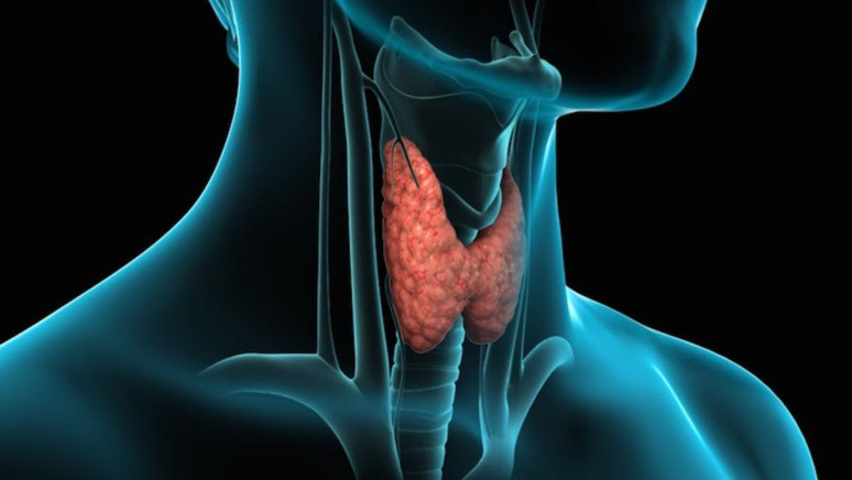 Karadenizlilerin baş tacıydı: Karalahana tüketimi bakın neye neden oluyor - Resim : 2