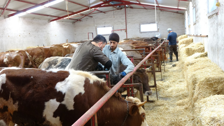 Yozgat'ta uygulanmaya başladı! Yapmayana 105 bin 274 lira ceza kesilecek! Son tarih 13 Nisan - Resim : 4