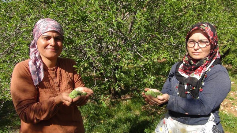 Mersin'de üretiliyor! Kilosu 200 TL'den kapış kapış satılıyor - Resim : 1