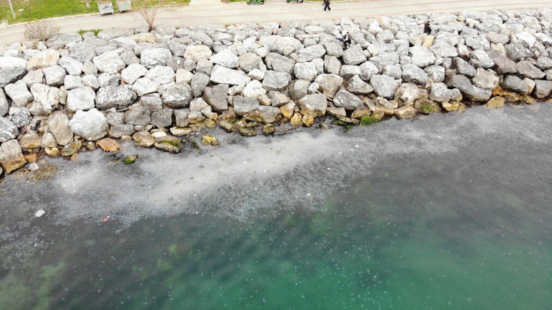 Moda Sahili'ni denizanası bastı: Dron ile görüntülendiler - Resim : 3