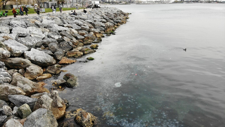 Moda Sahili'ni denizanası bastı: Dron ile görüntülendiler - Resim : 2