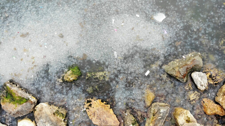 Moda Sahili'ni denizanası bastı: Dron ile görüntülendiler - Resim : 1