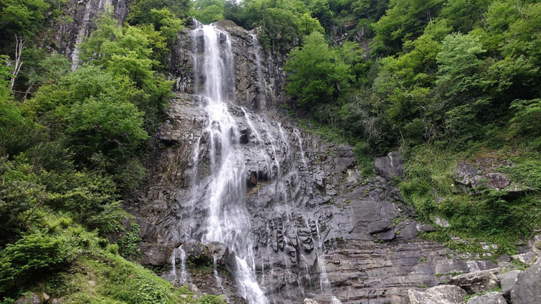 Niagara değil Artvin'de yer alıyor! Aylar sonra gürül gürül akmaya başladı - Resim : 1