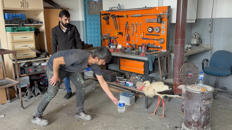 Karabük'te kaporta ustası o leyleği işte böyle kurtardı - Resim : 1