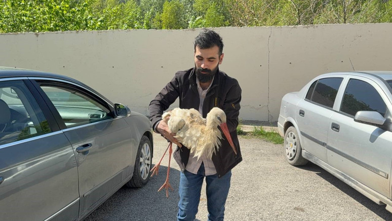 Karabük'te kaporta ustası o leyleği işte böyle kurtardı - Resim : 3