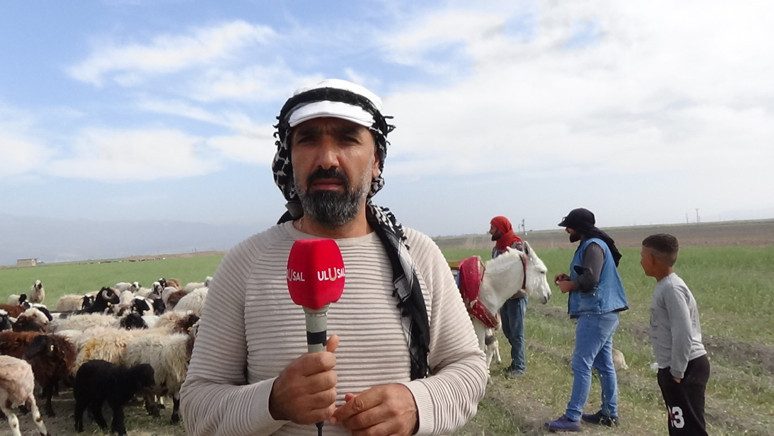 ‘Meralara konut yapıldı hayvanlar hazır yiyor’ - Resim : 1