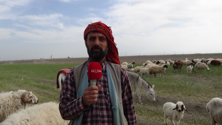 ‘Meralara konut yapıldı hayvanlar hazır yiyor’ - Resim : 2