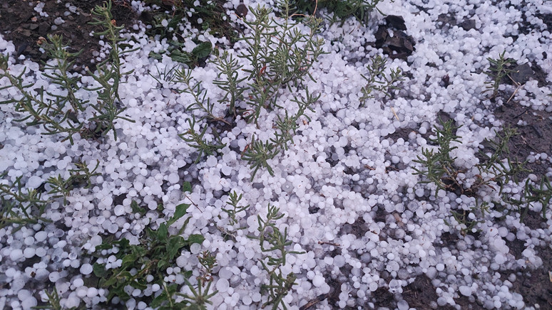 O il beyaza büründü! Mayıs ayında 'bu da olmaz' dedirtti... - Resim : 1