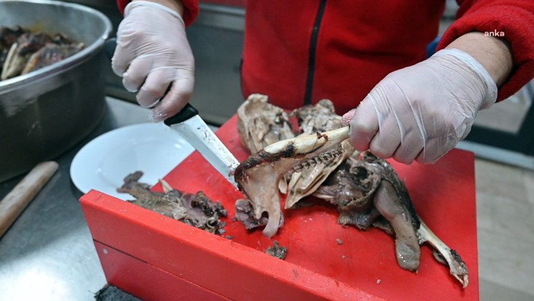 Yozgat'ta 30 yıl sonra yeniden başladı - Resim : 1