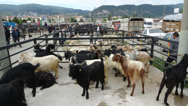 Kütahya'da yüzde 600 zam yapıldı! - Resim : 1