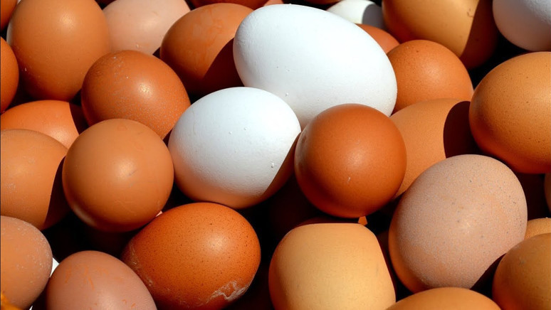 200 TL'den 89 TL’ye düştü! Vatandaş derin nefes aldı, fırsatçılar sessiz - Resim : 1