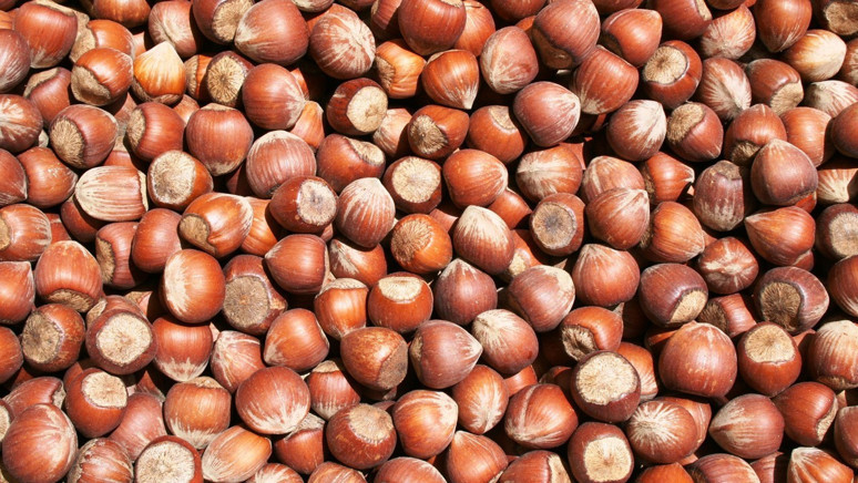 Serbest piyasa fındık fiyatları! Fiyatlar düşüşte, üretici o rakamı istiyor - Resim : 1