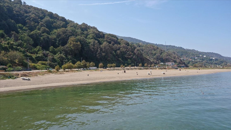 İstanbul'a yakın plajlar neresi? İşte İstanbul'a yakın en güzel plajlar - Resim : 3